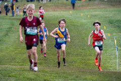 Australian-Cross-Country-Championships-2025-0207