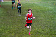 Australian-Cross-Country-Championships-2025-0221 Australian-Cross-Country-Championships-2025-0221