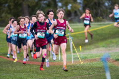 Australian-Cross-Country-Championships-2025-0554