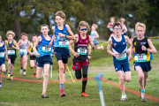 Australian-Cross-Country-Championships-2025-0596 Australian-Cross-Country-Championships-2025-0596