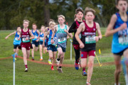 Australian-Cross-Country-Championships-2025-0627