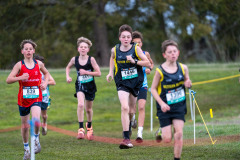 Australian-Cross-Country-Championships-2025-0695