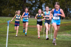 Australian-Cross-Country-Championships-2025-0959