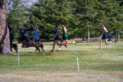 Australian-Cross-Country-Championships-2025-2051