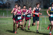 Australian-Cross-Country-Championships-2025-6870