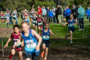 Australian-Cross-Country-Championships-2025-9701