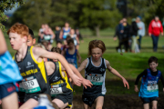 Australian-Cross-Country-Championships-2025-9723