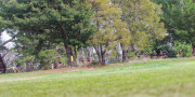 Australian-Cross-Country-Championships-2025z9-0690