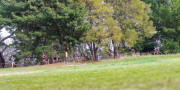 Australian-Cross-Country-Championships-2025z9-0697