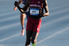 Gout Gout