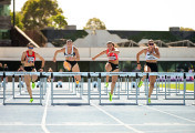 Short-Track-2026-8516