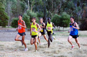 Australian-Trial-for-2010-World-Cross-Country-Championships__0159_3393x2211_5657087
