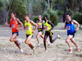 Australian-Trial-for-2010-World-Cross-Country-Championships__0160_3075x2294_5657088
