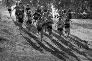 Australian-Trial-for-2010-World-Cross-Country-Championships__0286_3872x2592_5657110 Australian-Trial-for-2010-World-Cross-Country-Championships__0286_3872x2592_5657110