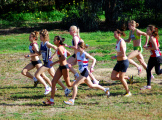 XCR2010-Brimbank-Park_0004_3162x2350_6199744