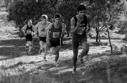 XCR2010-Brimbank-Park_0300_3872x2548_6199831 XCR2010-Brimbank-Park_0300_3872x2548_6199831
