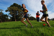 DSC_0145_3716x2455_4581521