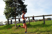 DSC_0217_3746x2488_4581541 DSC_0217_3746x2488_4581541