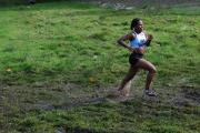 DSC_0333_3872x2592_4581546 DSC_0333_3872x2592_4581546