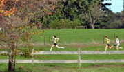TIM_7426_4835x2830_4581553 TIM_7426_4835x2830_4581553
