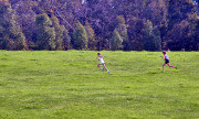 TIM_7462_4741x2846_4581554 TIM_7462_4741x2846_4581554