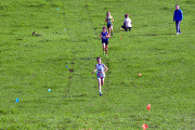 TIM_7476_4928x3264_4581555 TIM_7476_4928x3264_4581555