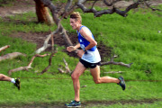 TIM_8650_4928x3264_4581580