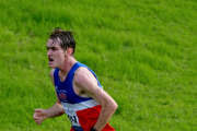TIM_8703_4928x3264_4581583