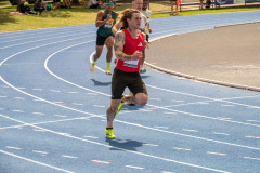 TIM_5937
