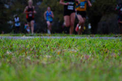 Jells-Park-Relays-2025-Second-Camera-5932