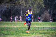 Jells-Park-Relays-2025-1583