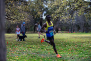 Jells-Park-Relays-2025-2249
