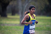 Jells-Park-Relays-2025-2619
