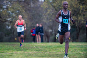 Jells-Park-Relays-2025-3759