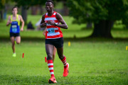 1_TIM_7938