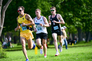 TIM_6743