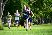 TIM_6953