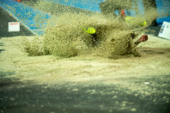 TIM_7339