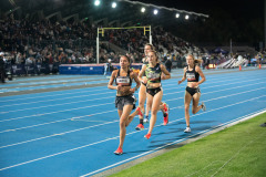 TIM_7707
