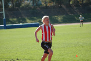 DSC_0023_2240x1488_6197155 DSC_0023_2240x1488_6197155