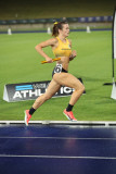 NSW-Relay-Championships-2024-Friday0329