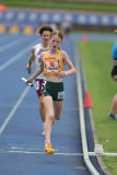 NSW-Relay-Championships-2024-Saturday1370