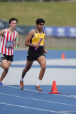 NSW-Relay-Championships-2024-Saturday2844