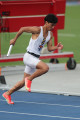 NSW-Relay-Championships-2024-Saturday3453