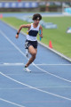 NSW-Relay-Championships-2024-Sunday3986