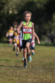 AGE_8199 AGE_8199