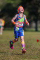 AGE_8233 AGE_8233