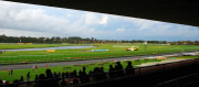 Sandown-Classic-2010_0469_3773x1662_6199116 Sandown-Classic-2010_0469_3773x1662_6199116