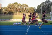 Sydney-Track-Classic-20250252 Sydney-Track-Classic-20250252