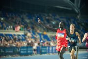 Sydney Track Classic Peter Bol
